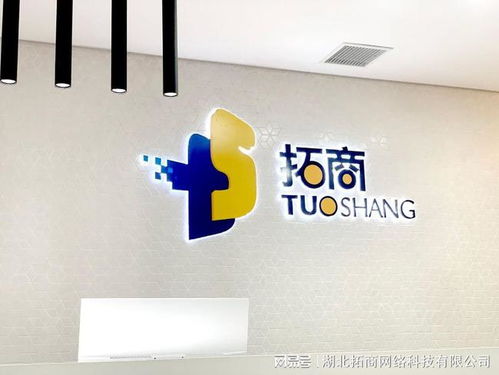 拓商电商 做好年底店铺运营,为来年冲销蓄力